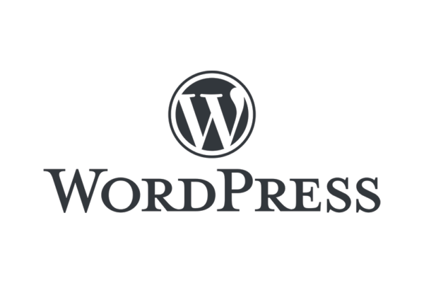 מדריך וורדפרס (wordpress)